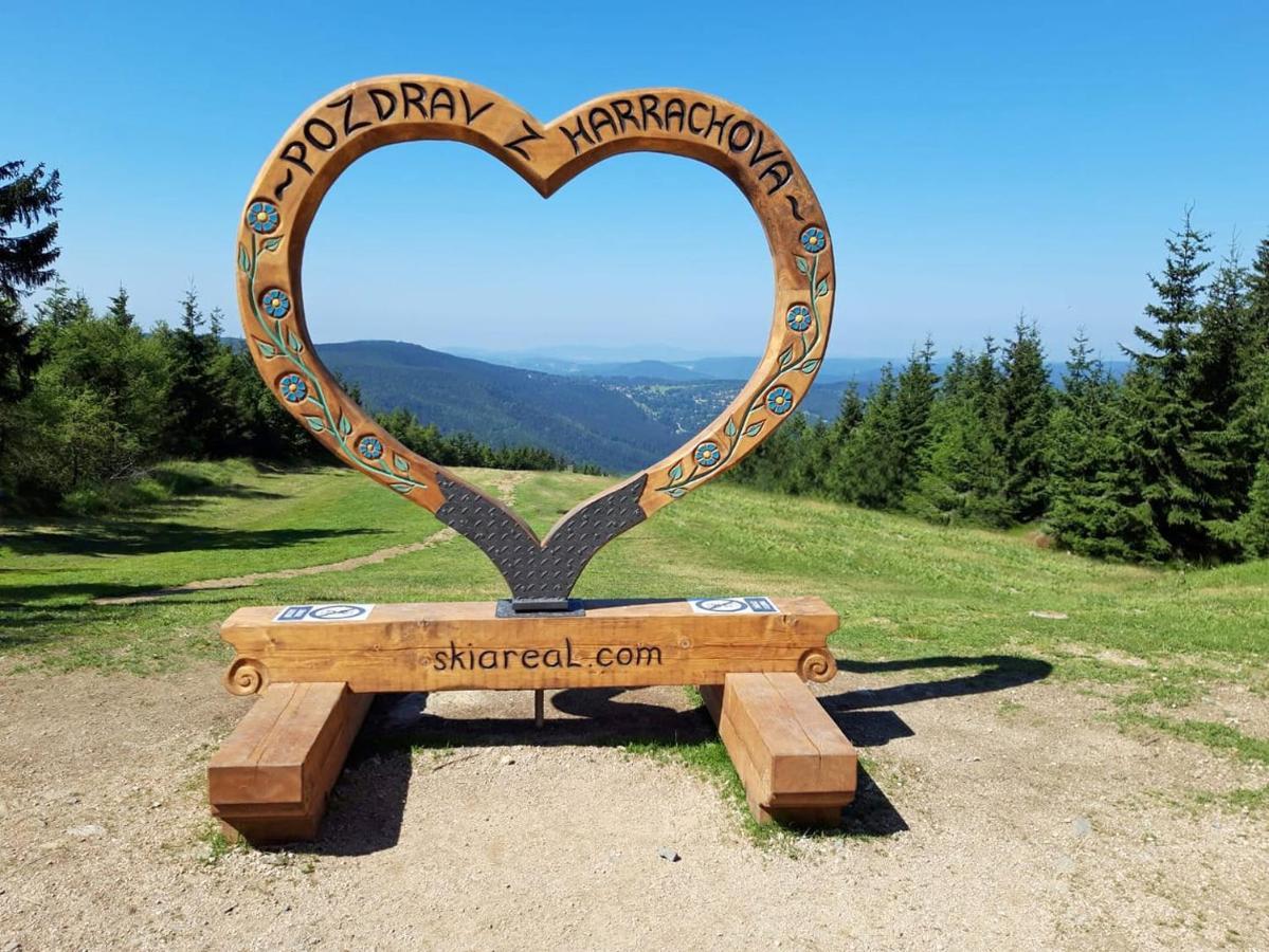 Enjoyharrachov - Atraktivni Slunny Klimatizovany Apartman 14 V Centru Harrachova Se Saunou, Parkovanim, Wifi-Wlan, Sat, Herni Konzoli, Pc S Win 10, Netflix Zdarma A Moznosti Dobijeni Auta S Jedinecnym Vyhledem Na Certovu Horu Se Skokanskymi Mustky Zewnętrze zdjęcie