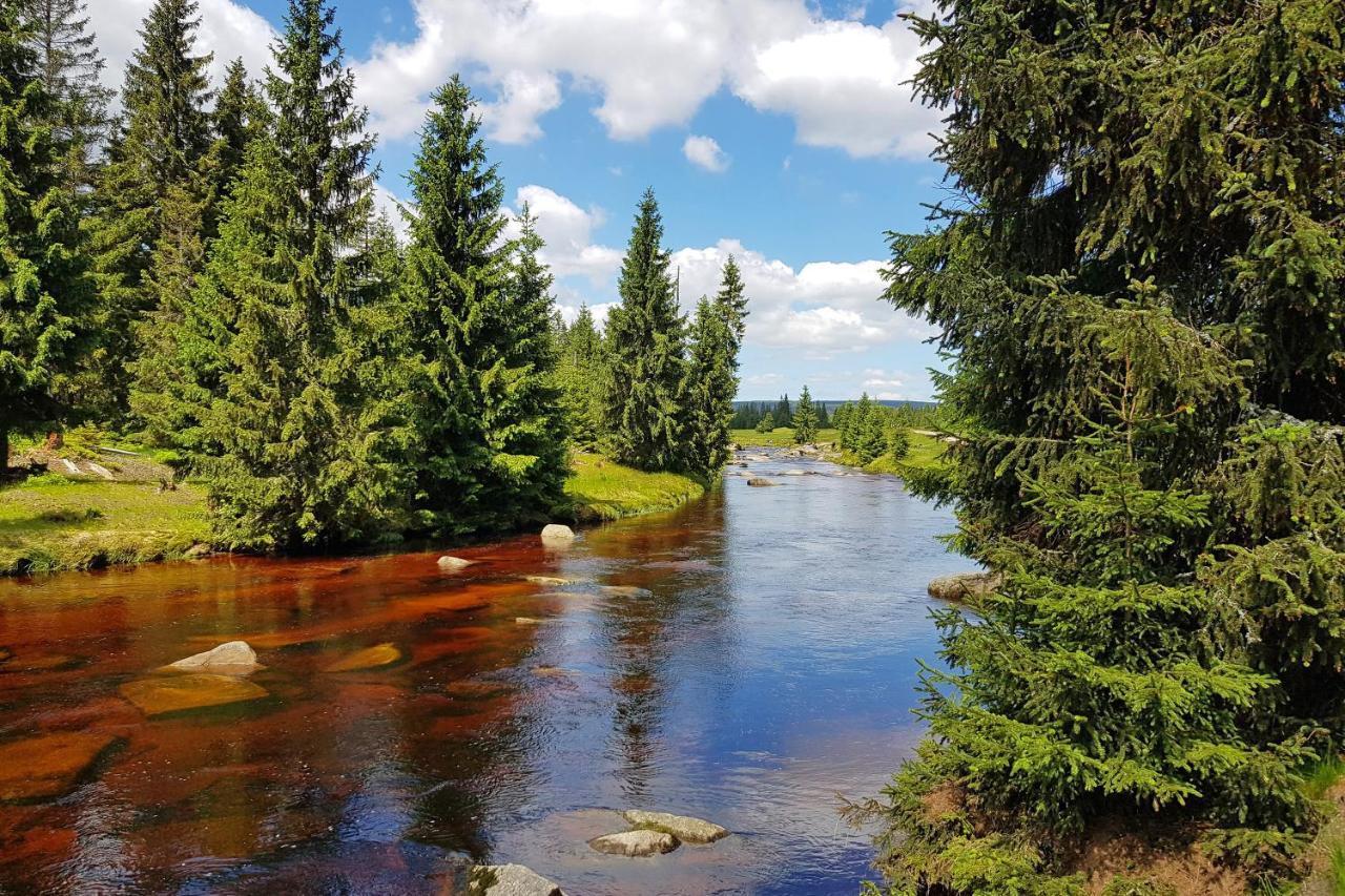 Enjoyharrachov - Atraktivni Slunny Klimatizovany Apartman 14 V Centru Harrachova Se Saunou, Parkovanim, Wifi-Wlan, Sat, Herni Konzoli, Pc S Win 10, Netflix Zdarma A Moznosti Dobijeni Auta S Jedinecnym Vyhledem Na Certovu Horu Se Skokanskymi Mustky Zewnętrze zdjęcie